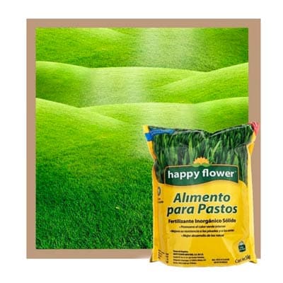 fertilizante-para-pastos-1-kg-12706-thumb-1