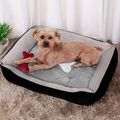 cama-grande-para-mascotas-14328-thumb-1