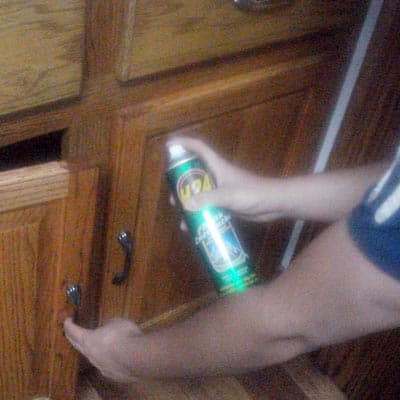 insecticida-mata-cucarachas-429ml-h24-14600-thumb-1