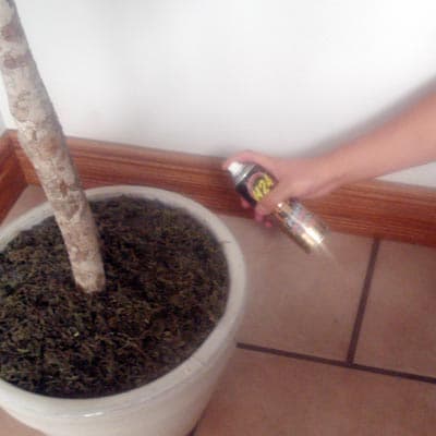 insecticida-poder-fulm-237ml-h24-14602-thumb-1