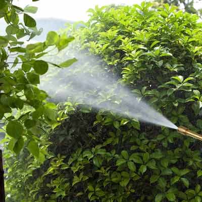 fumigador-jardinero-15217-thumb-1