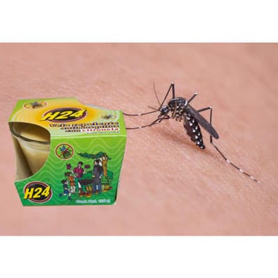 vela-antimosquitos-17957-thumb-2