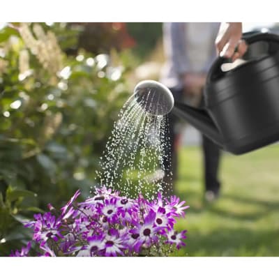 regadera-de-jardin-de-2-galones-negro-18359-thumb-1