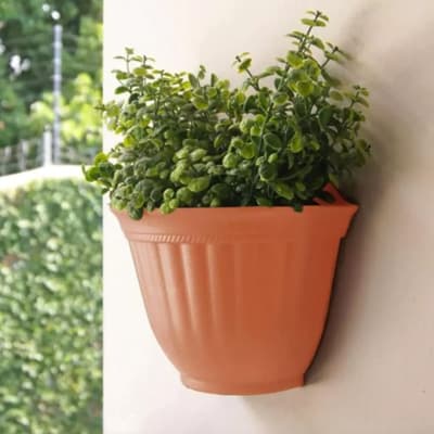 maceta-para-muro-de-23-cm-barro-20142-thumb-1
