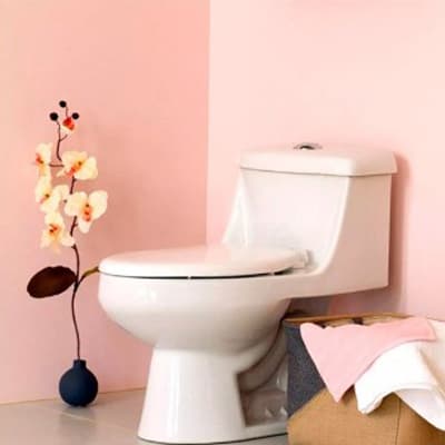 asiento-para-bano-blanco-6950ar-20598-thumb-1