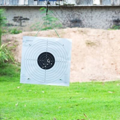 postas-daisy-de-350-piezas-calibre-45-20728-thumb-1