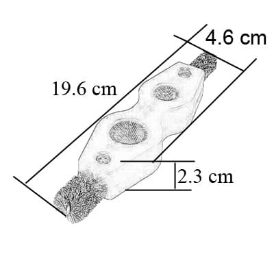 cepillo-limpiador-de-baterias-4-en-1-truper-22495-thumb-5