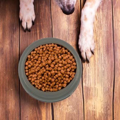 plato-redondo-chico-para-mascota-22804-thumb-1