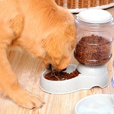 alimentador-automatico-para-mascota-22807-thumb-3