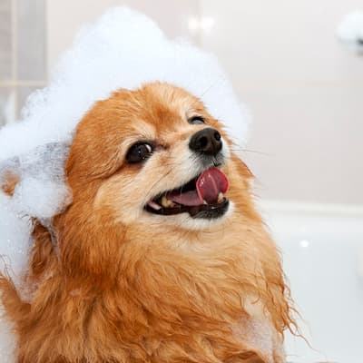shampoo-relajante-22811-thumb-1