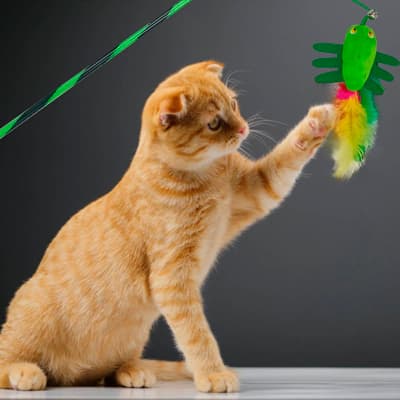 cana-con-juguete-para-gatos-25382-thumb-1