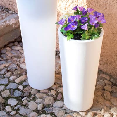 maceta-ficus-60-blanco-30535-thumb-1
