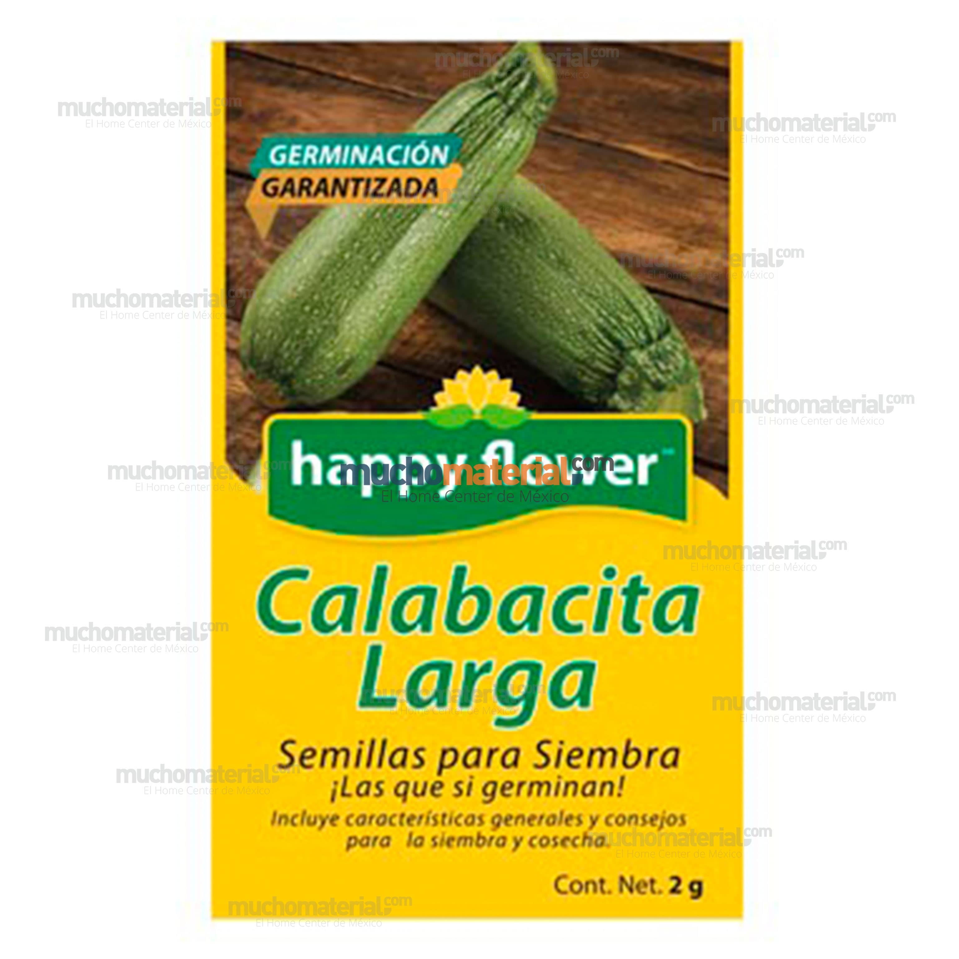 semilla-para-siembra-de-calabacita-larga-32829