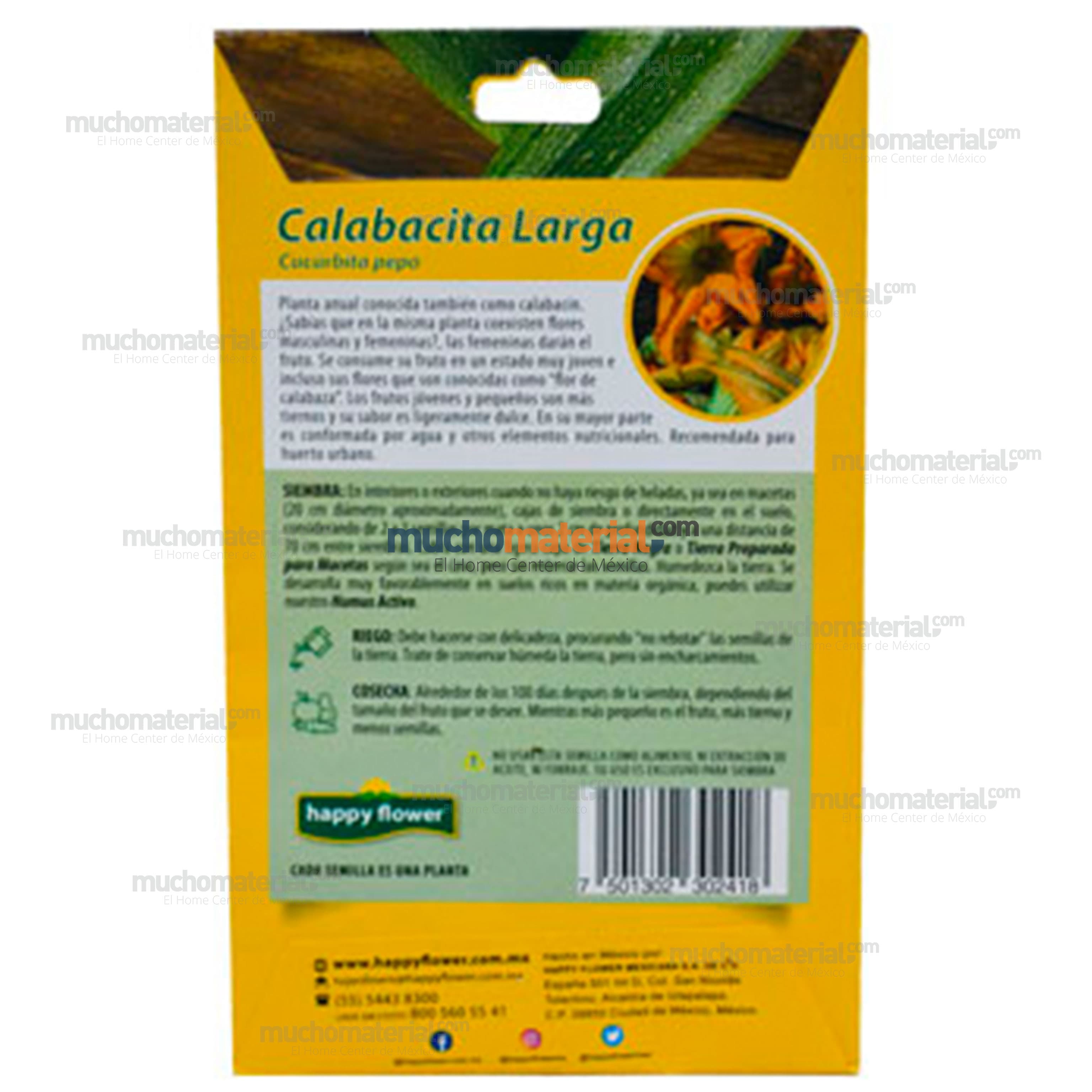 semilla-para-siembra-de-calabacita-larga-32829-thumb-3