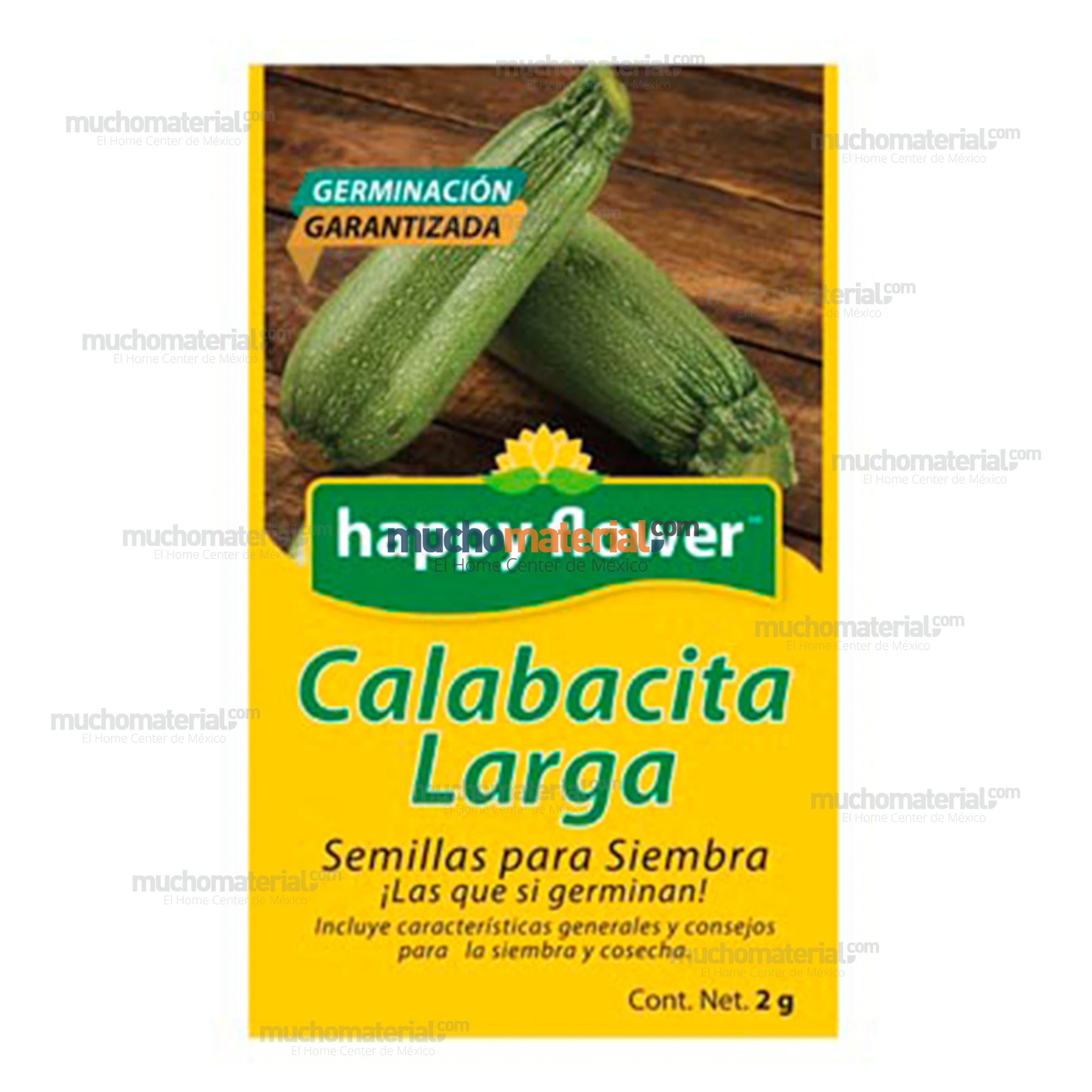 semilla-para-siembra-de-calabacita-larga-32829-thumb-4