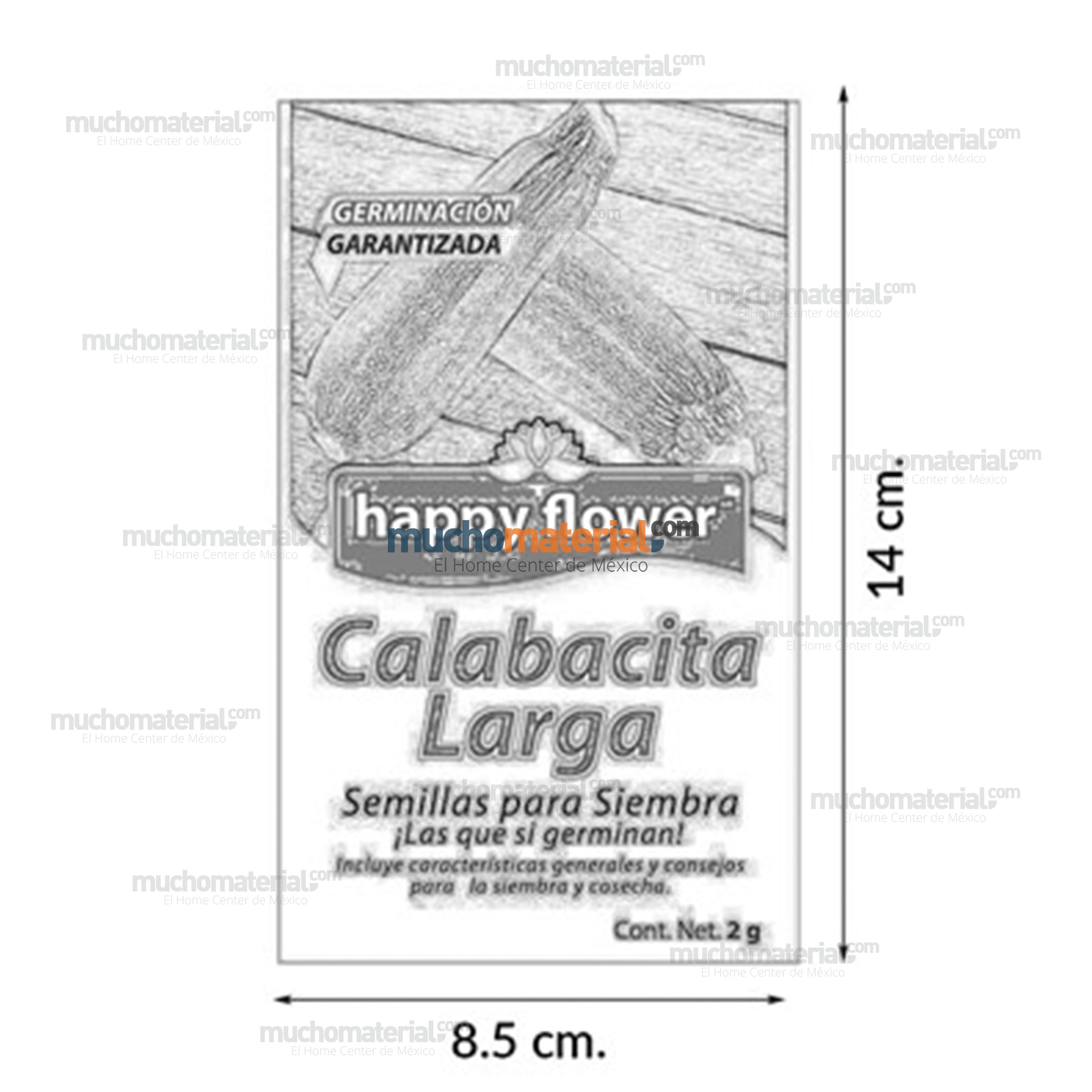 semilla-para-siembra-de-calabacita-larga-32829-thumb-5