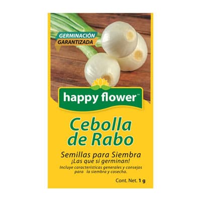 semilla-para-siembra-de-cebolla-de-rabo-32832