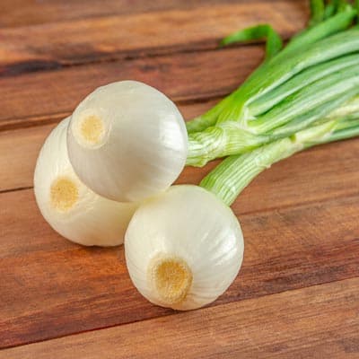 semilla-para-siembra-de-cebolla-de-rabo-32832-thumb-1