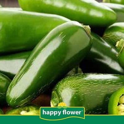 semilla-para-siembra-de-chile-jalapeno-32840-thumb-1