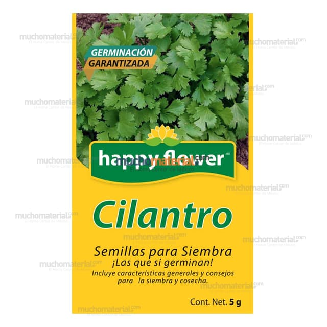 SEMILLA PARA SIEMBRA DE CILANTRO
