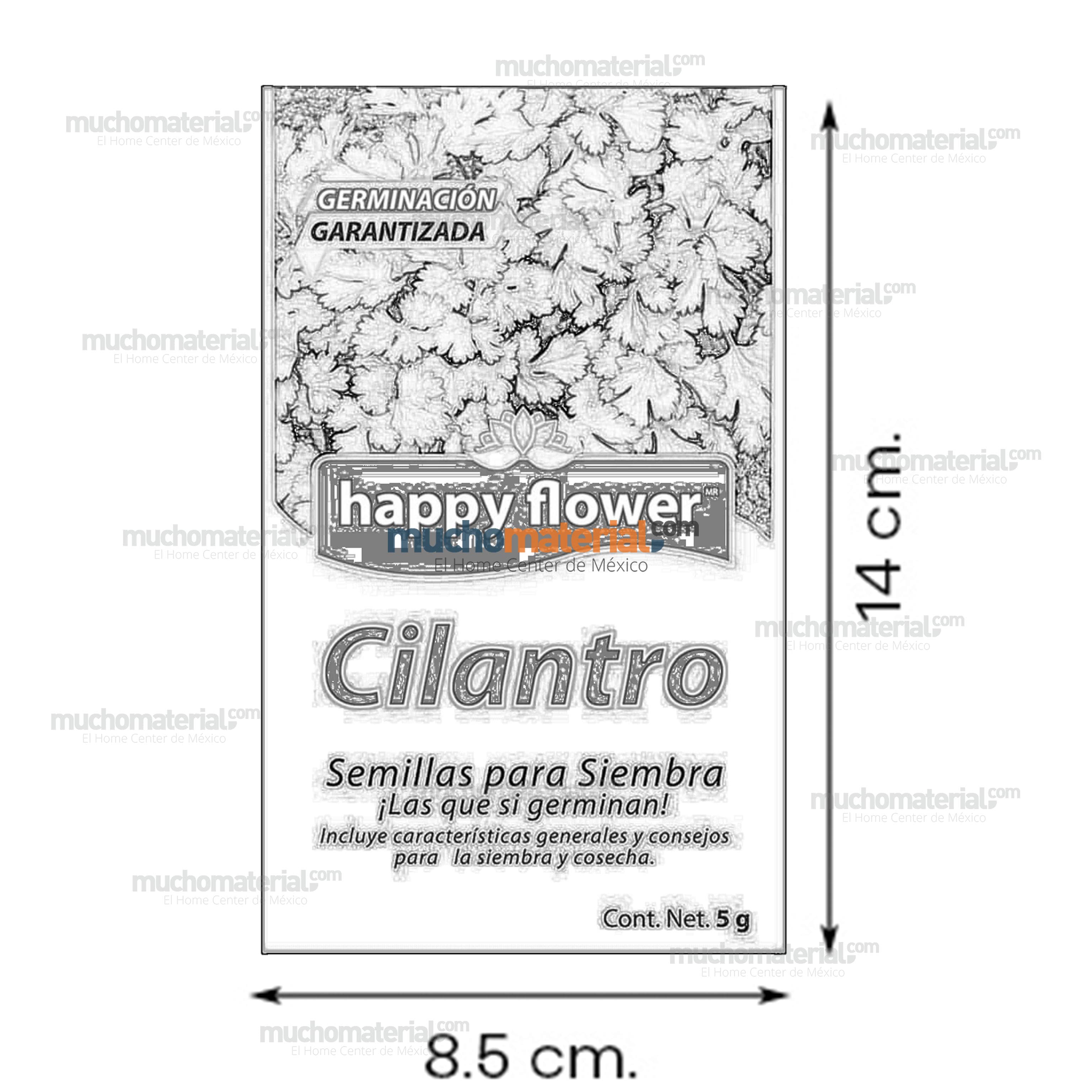 semilla-para-siembra-de-cilantro-32843-thumb-5