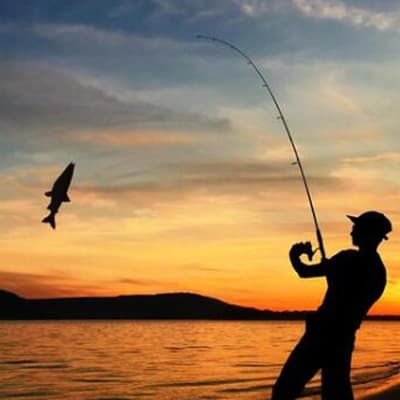 cana-de-pesca-south-bend-proton-57030436-33149-thumb-1