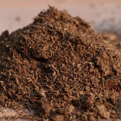 sustrato-peat-moss-10-lts-35089-thumb-1