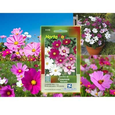 semilla-para-siembra-horta-cosmos-h-318-35344-thumb-1