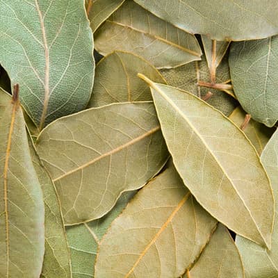 semilla-para-siembra-horta-laurel-h-561-35377-thumb-1