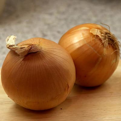 semilla-para-siembra-horta-cebolla-amarilla-h-638-35381-thumb-2