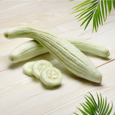 semilla-para-siembra-horta-pepino-blanco-h-725-35388-thumb-1