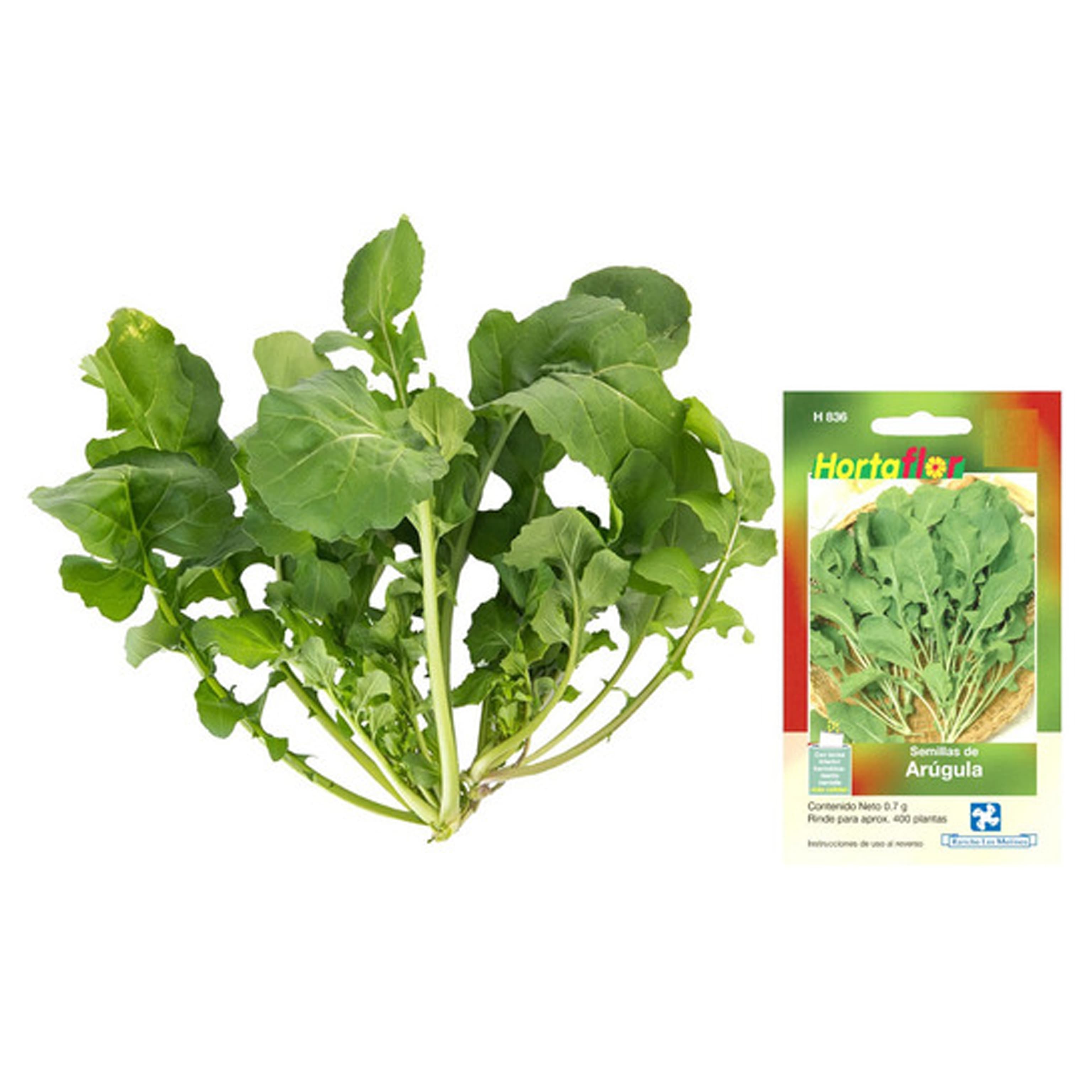 semilla-para-siembra-horta-arugula-h-836-35392-thumb-2