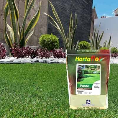 semilla-para-pasto-para-terrenos-secos-35403-thumb-1