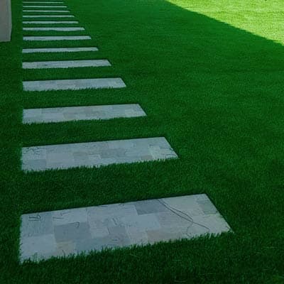 semilla-para-pasto-sombra-35404-thumb-1
