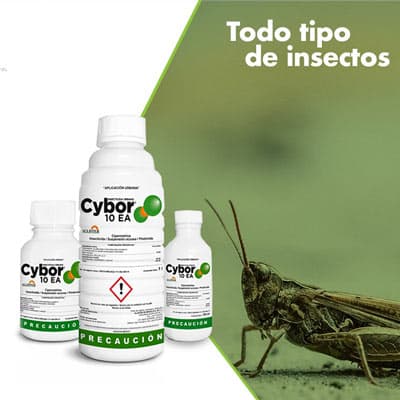 insecticida-urbano-cybor-35406-thumb-1