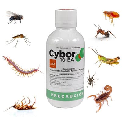 insecticida-urbano-cybor-35406-thumb-2