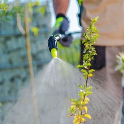 insecticida-organico-36110-thumb-1