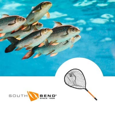 red-de-pesca-con-aro-36436-thumb-1