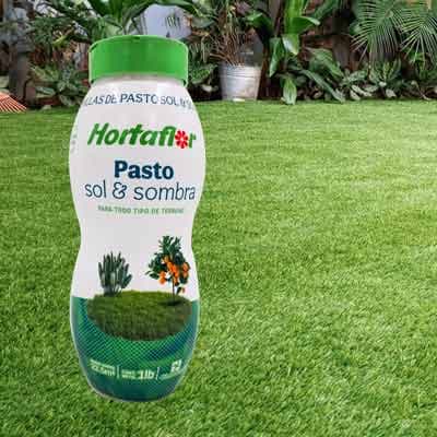semillas-de-pasto-sol-y-sombra-37555-thumb-1