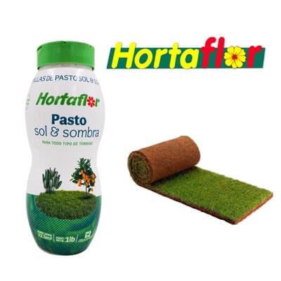 semillas-de-pasto-sol-y-sombra-37555-thumb-2