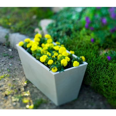maceta-rectangular-jazmin-blanco-37665-thumb-1