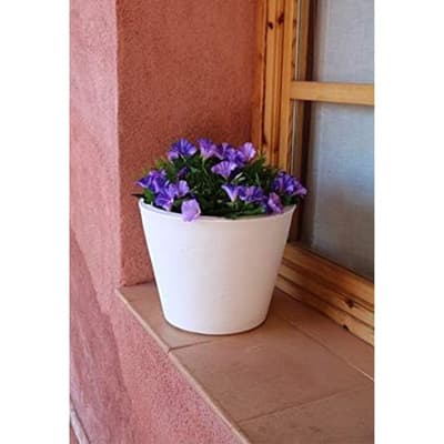 maceta-petunia-36-blanco-37669-thumb-1
