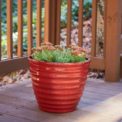 maceta-beehive-16-red-37977-thumb-1