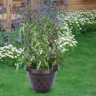 maceta-con-enrejado-para-plantas-trepadoras-38094-thumb-1