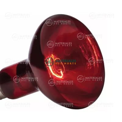 foco-incandescente-de-calor-270-w-38226-thumb-2