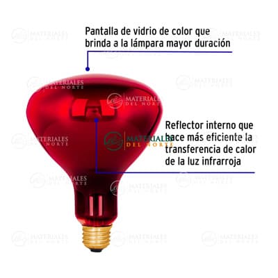 foco-incandescente-de-calor-270-w-38226-thumb-3