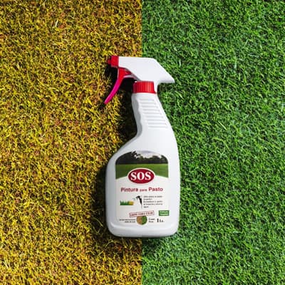 pintura-para-pasto-con-atomizador-de-1l-38933-thumb-1
