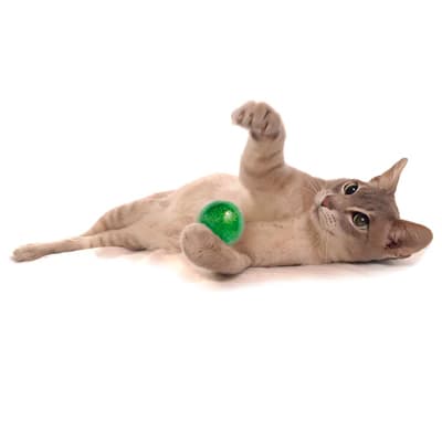 juego-de-6-pelotitas-para-gatos-39479-thumb-1