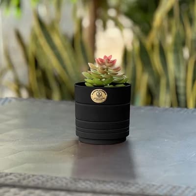 maceta-amalfi-negro-15-cm-40355-thumb-1