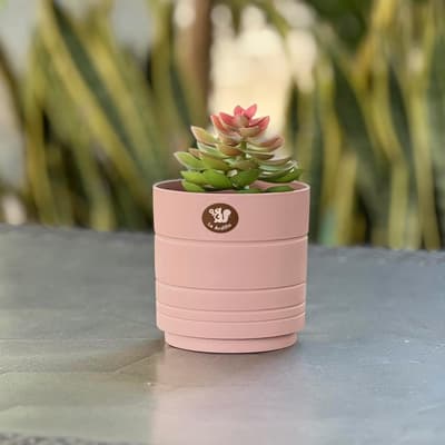 maceta-amalfi-rosa-satin-15-cm-40356-thumb-1